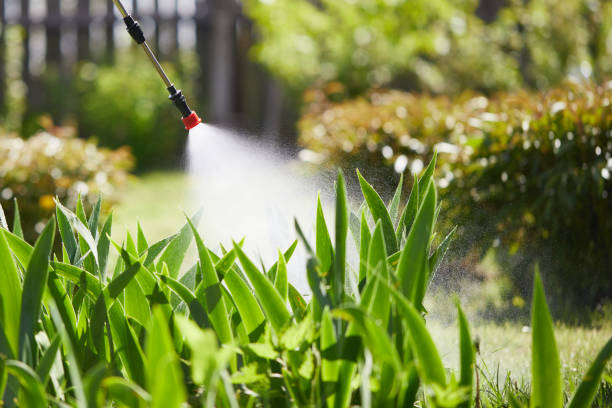 Tamper-Resistant Bait Stations for Rodents in St. Anthony