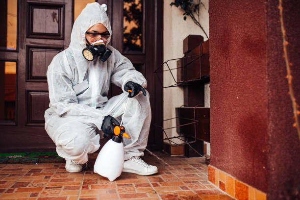 Attic and Crawl Space Rodent Treatment in St. Anthony