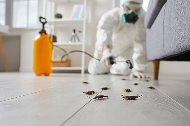 Commercial Rodent Management in St. Anthony